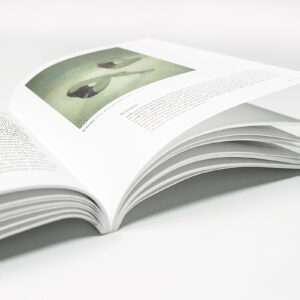 Gallery picture: 8