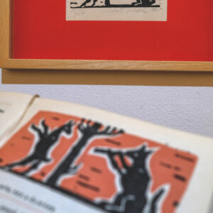 Obrázok galérie: 16