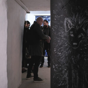 Gallery picture: 11